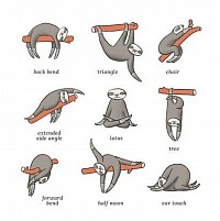 Sloth yoga